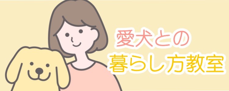 カワイイがいっぱい！ワンダーランド